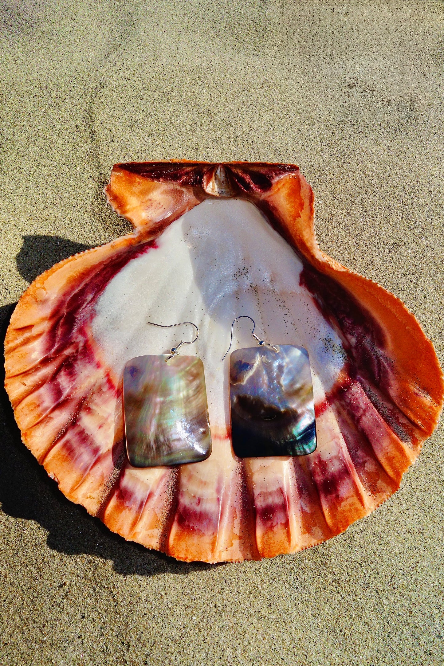 Coastal Earth Shell Earrings