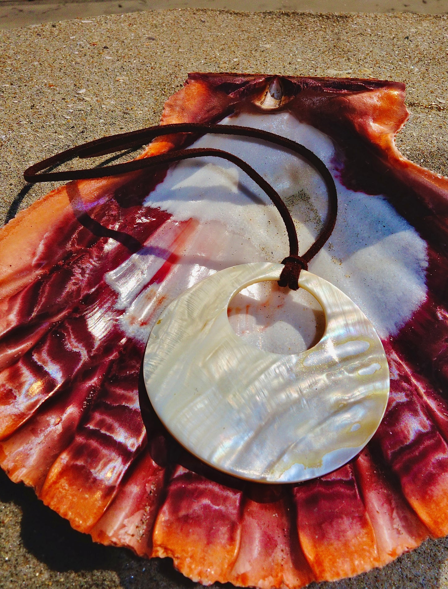 Ocean Glow Shell Disc Necklace