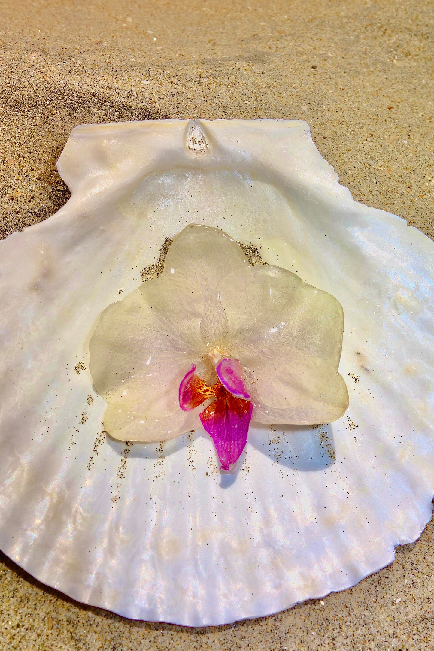 Ocean Petal Hair Clip