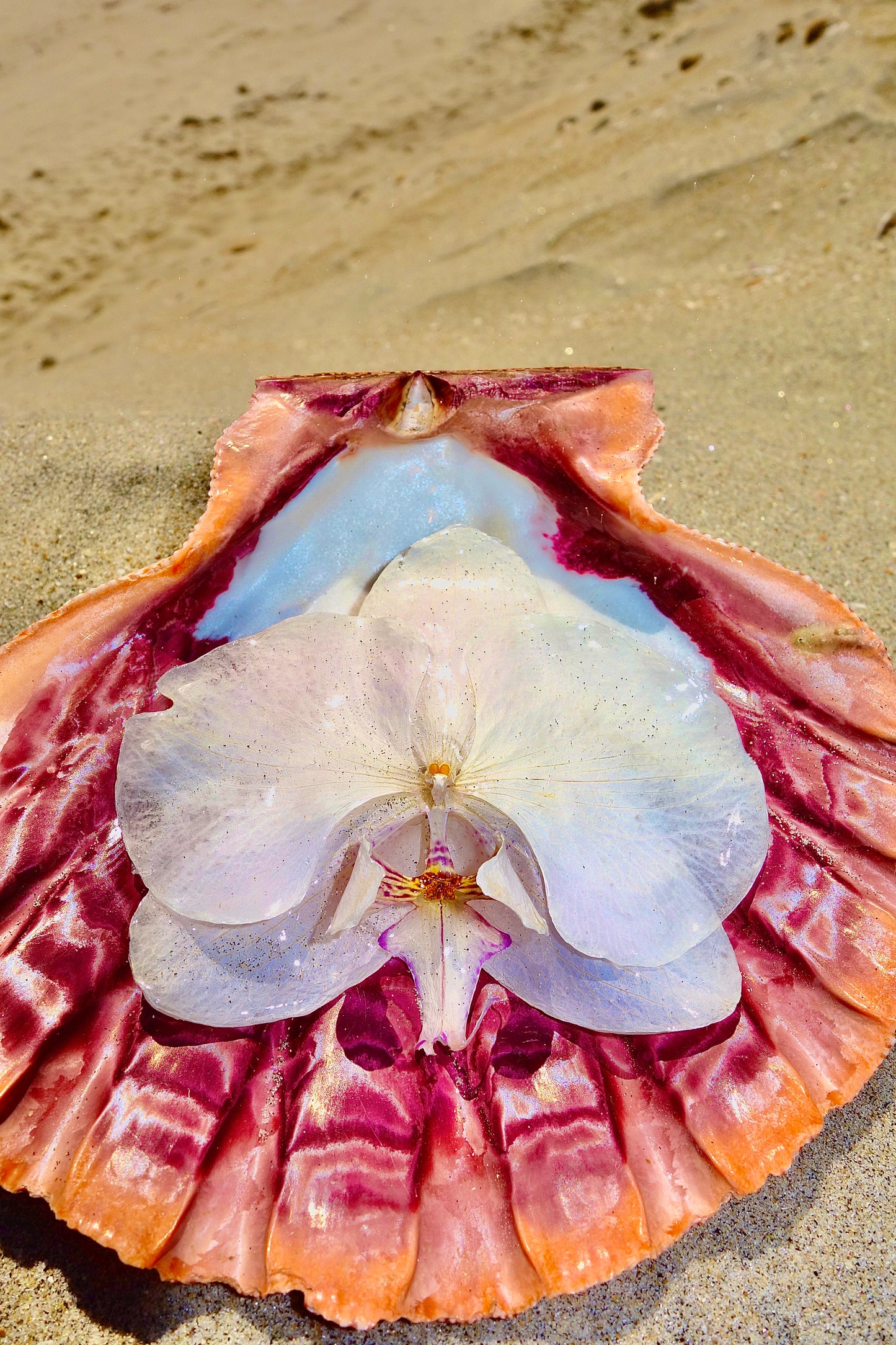 Petal Tides Hair Clip