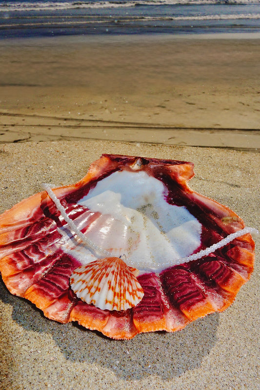Seashell Spirit Necklace