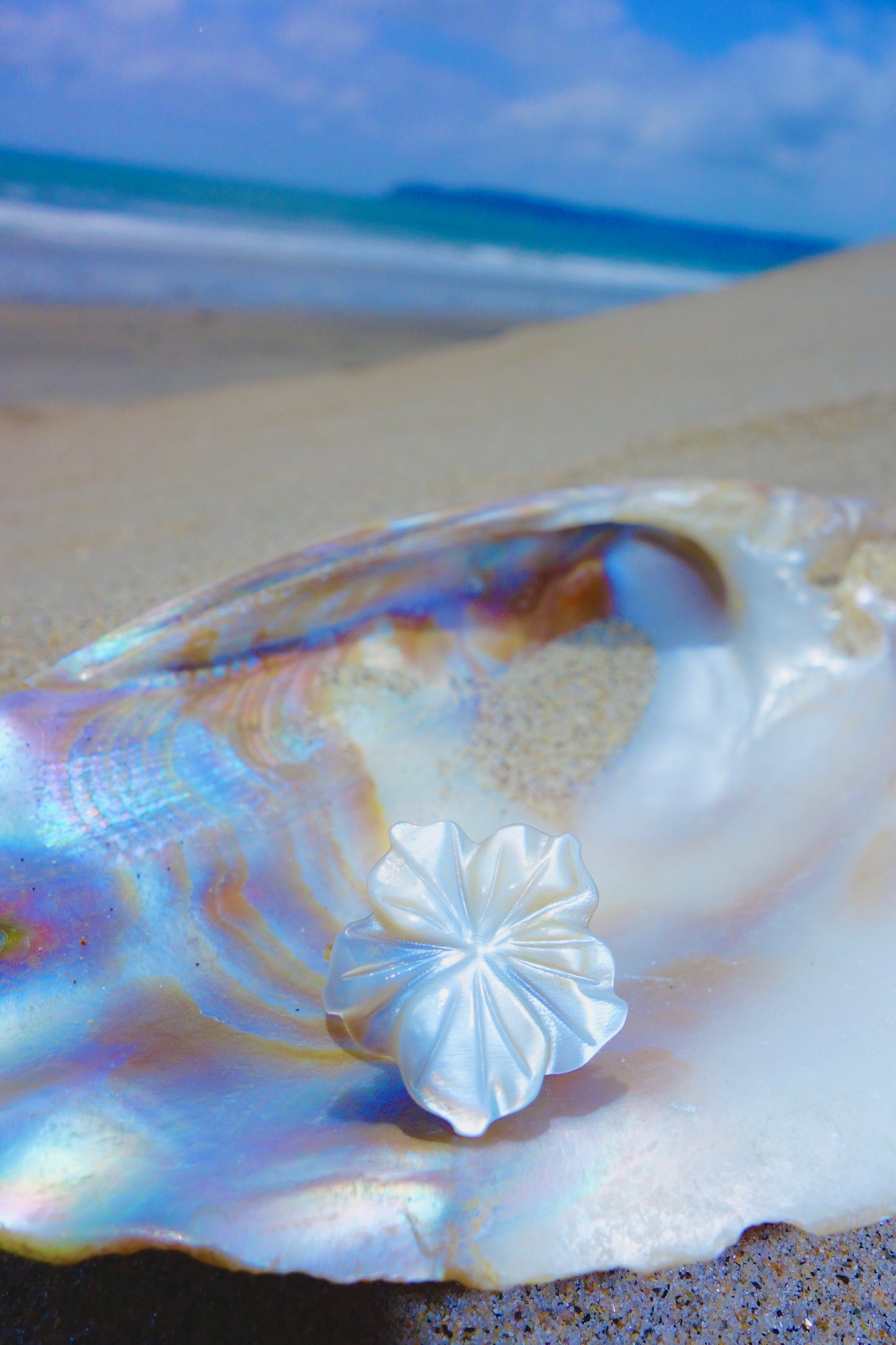 Seashell Whisper Ring