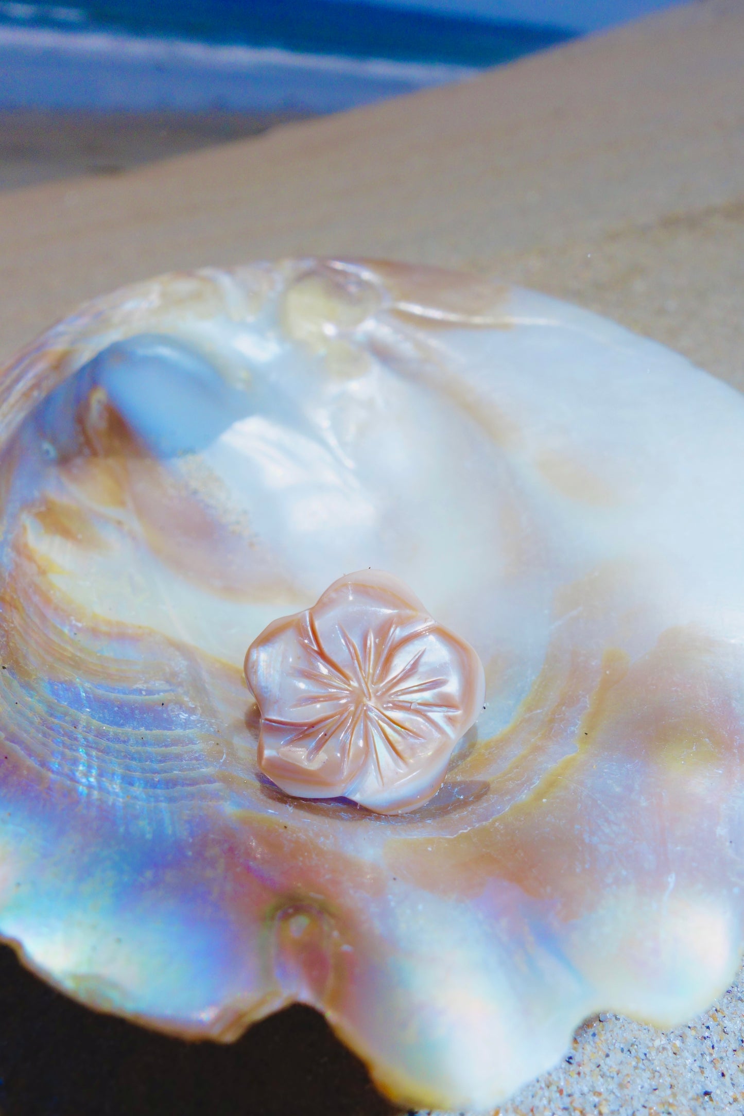 Sandy Beach Shell Blossom Ring