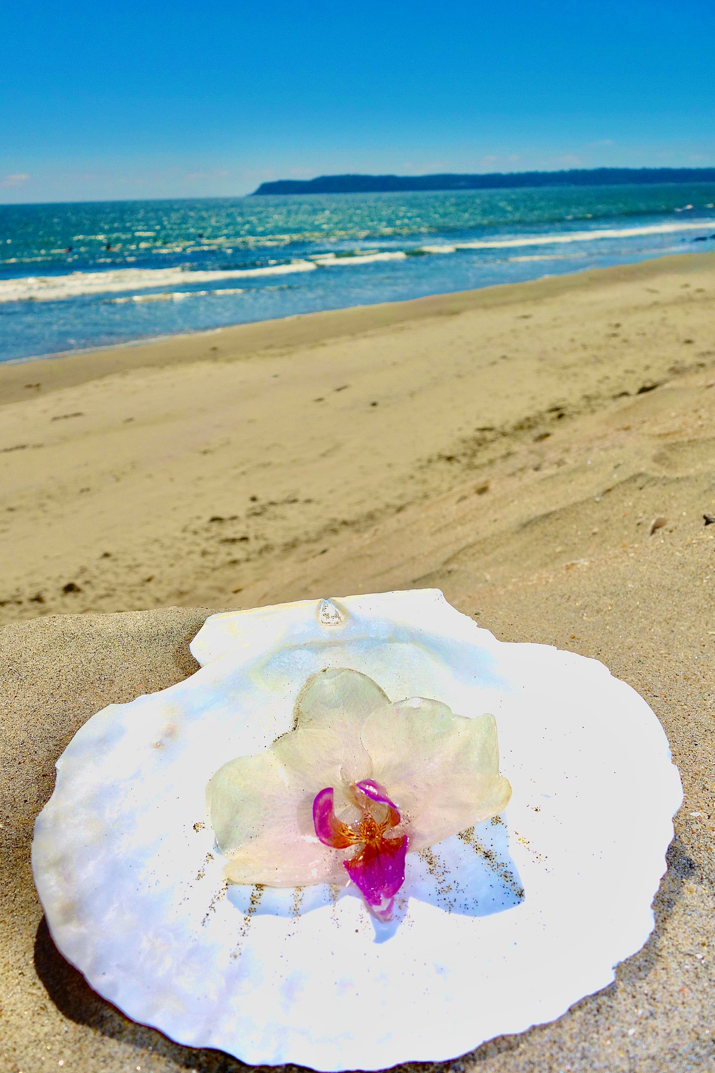 Ocean Petal Hair Clip