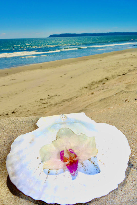 Ocean Petal Hair Clip