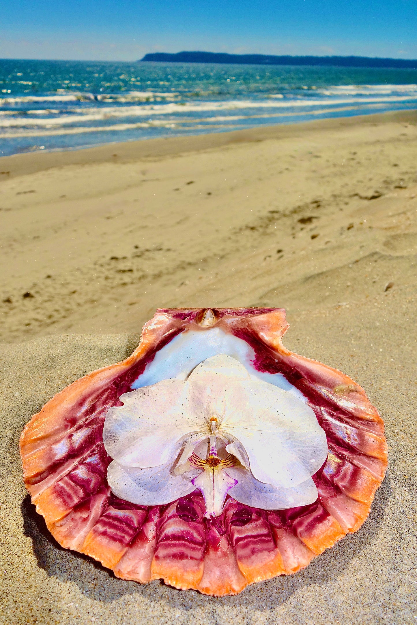 Petal Tides Hair Clip