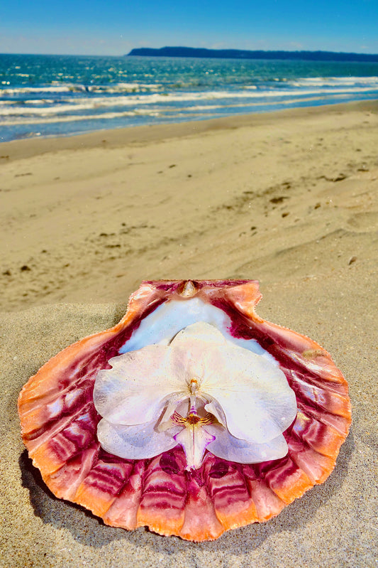 Petal Tides Hair Clip