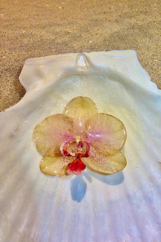 Sunset Blush Hair Clip