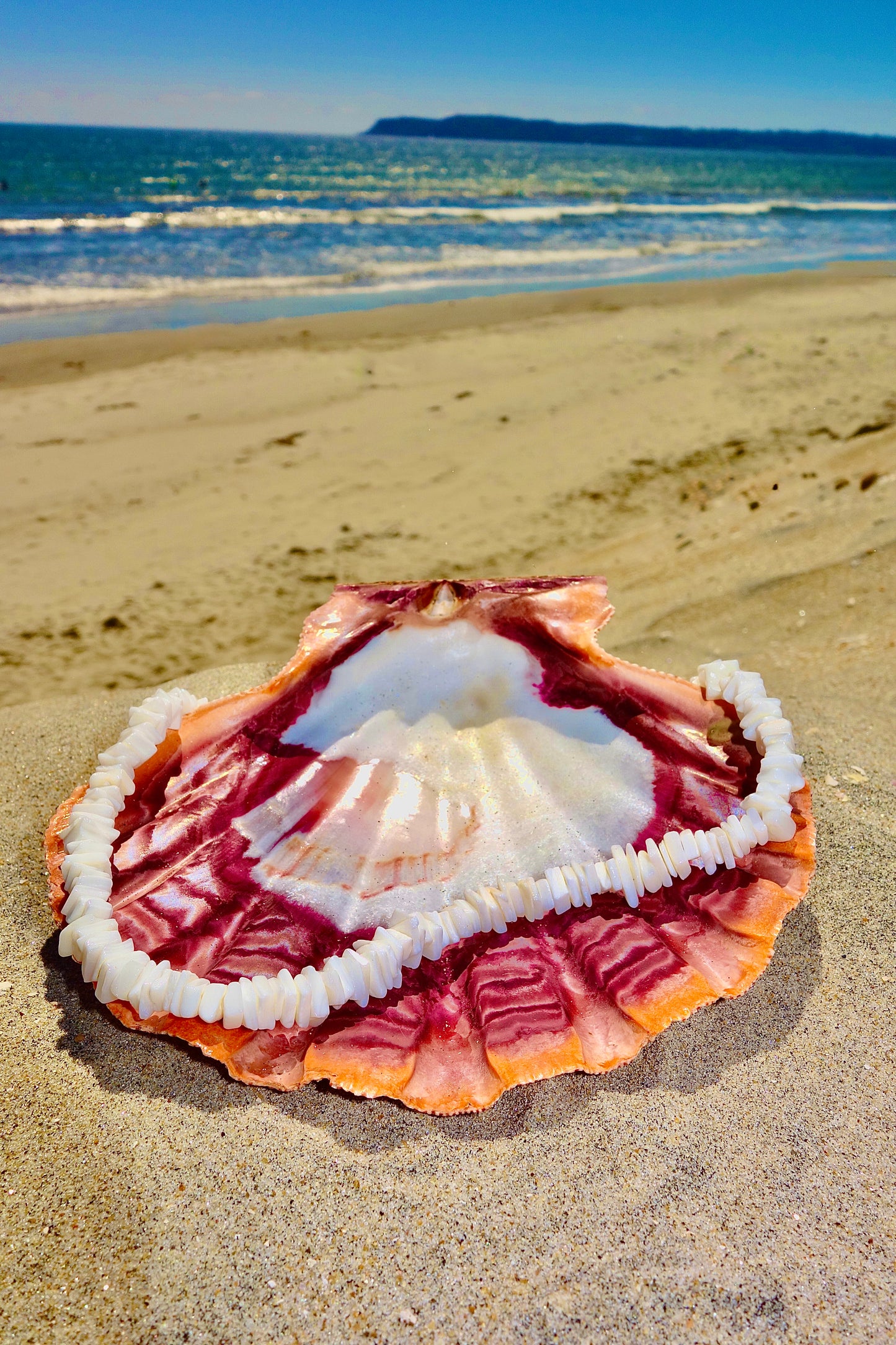 White Puka Chip Necklace