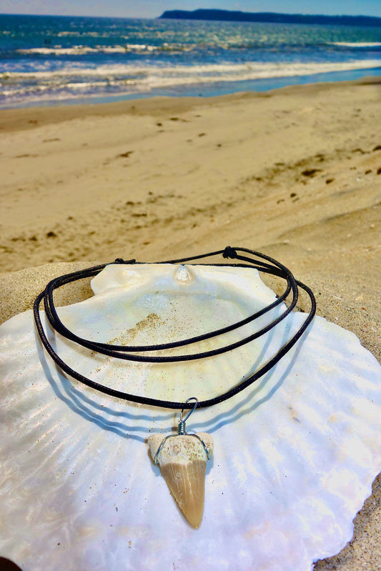Shark Tooth Surfer Necklace
