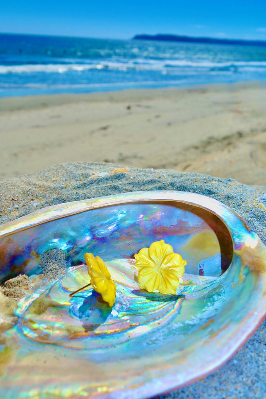 Sunlit Bloom Shell Earrings