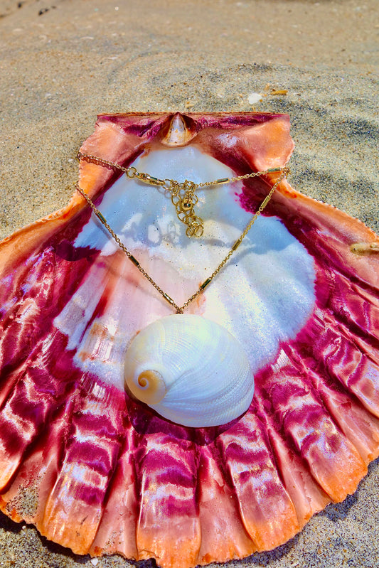 Golden Nautilus Necklace