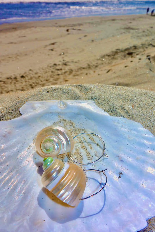 Beach Muse Shell Hoops
